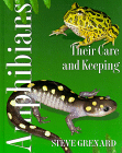 Amphibians