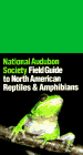 Reptile and Amphibian field guide