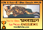 HDW's YOU'VE BEEN SPOTTED For WebSite Excellence Award