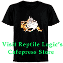 Support This Site