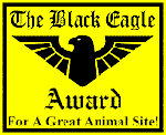 Black Eagle Award 