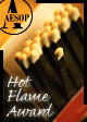 Hot Flame award