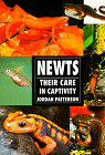 Newts