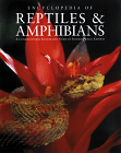 Encyclopedia of reptiles and Amphibians