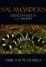 Salamanders