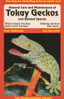 Tokay Gecko