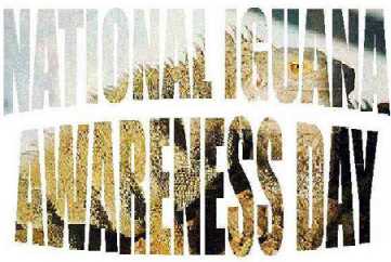 National Iguana Awareness Day!  Napoleon is the logo!