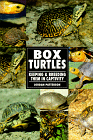 Box Turtles