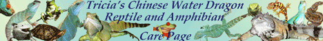 Tricia's Chinese water dragon, reptile and amphibian care page