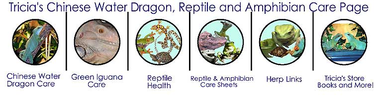 Tricia's Chinese Water Dragon, Reptile and amphibian care page